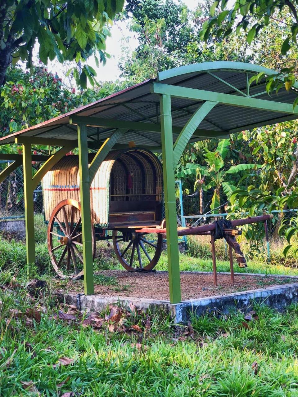 Traditional Villa Munnar Exterior foto